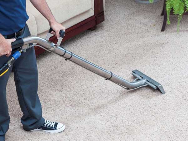 Carpet Cleaning